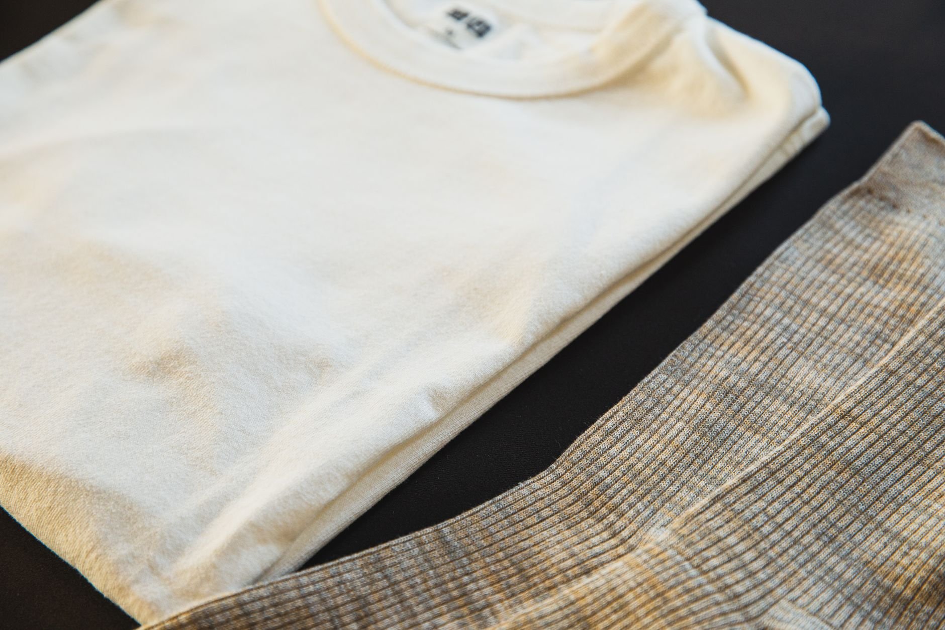 Soft folded cotton t-shirt — the canvas for Waxwing original wildlife artwork